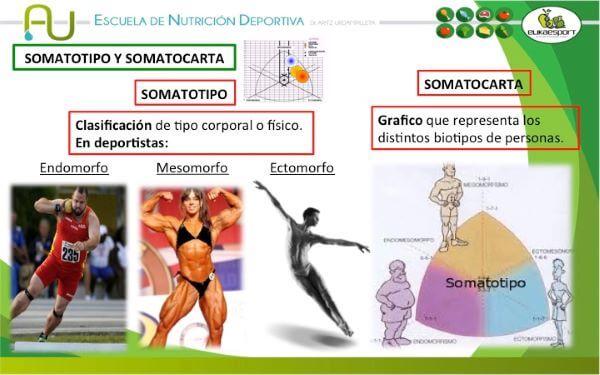 composición corporal en el fútbol