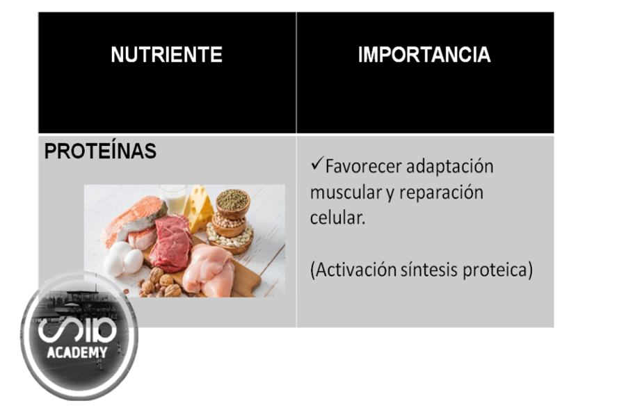 <strong>¿QUÉ COMER DURANTE Y DESPUÉS DE UN PARTIDO?</strong>