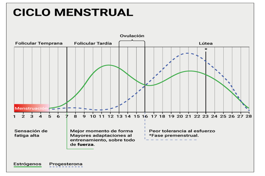 NUTRICIÓN Y RENDIMIENTO DEPORTIVO EN FÚTBOL FEMENINO