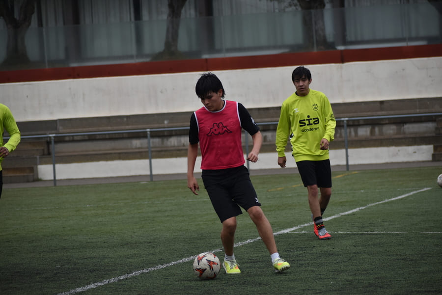 SIA_7306 (1) (1)